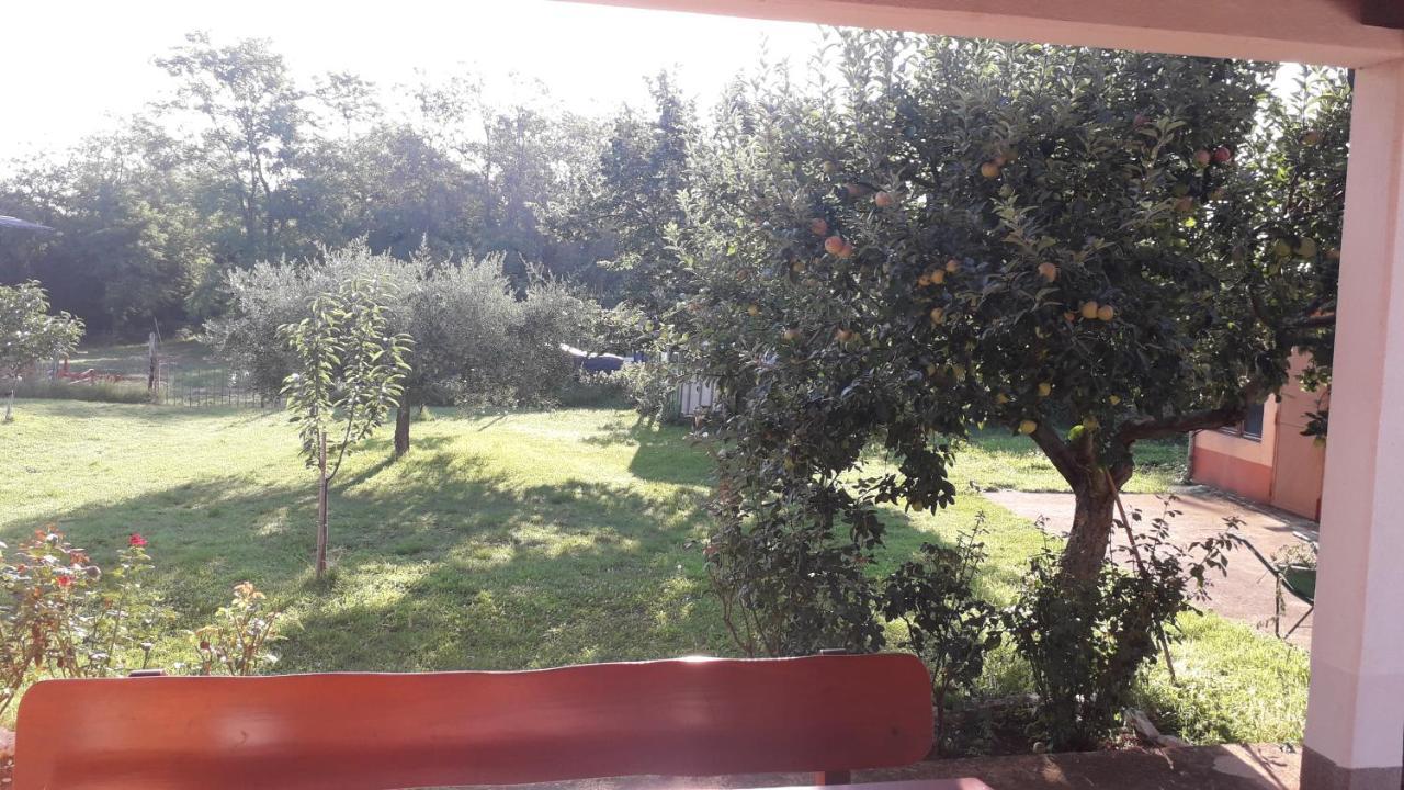 Apartman Lena Umago Esterno foto